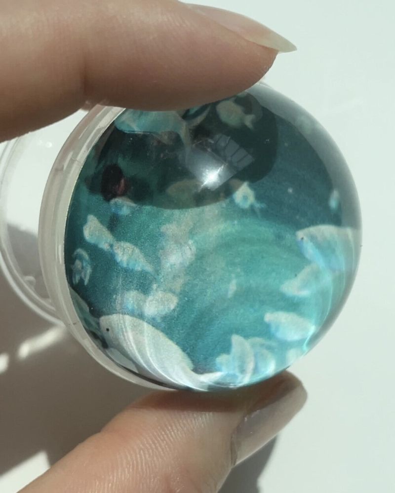 [my little aquarium tok]