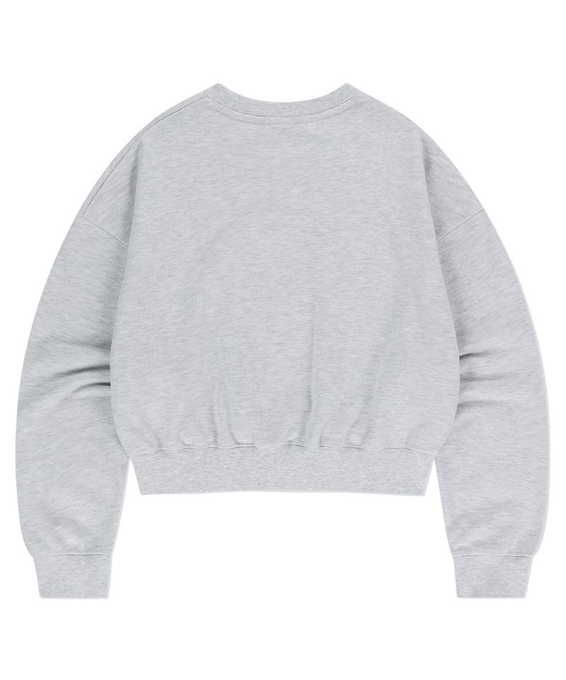 VINTAGE COLLEGE CROP SWEATSHIRT