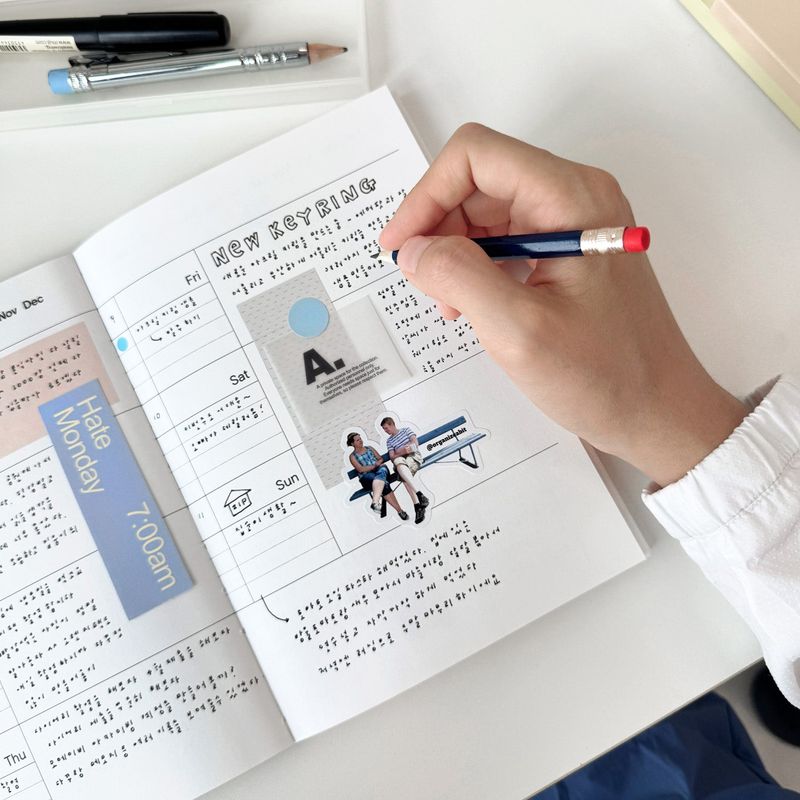 oab organize diary ver4 / soft cover