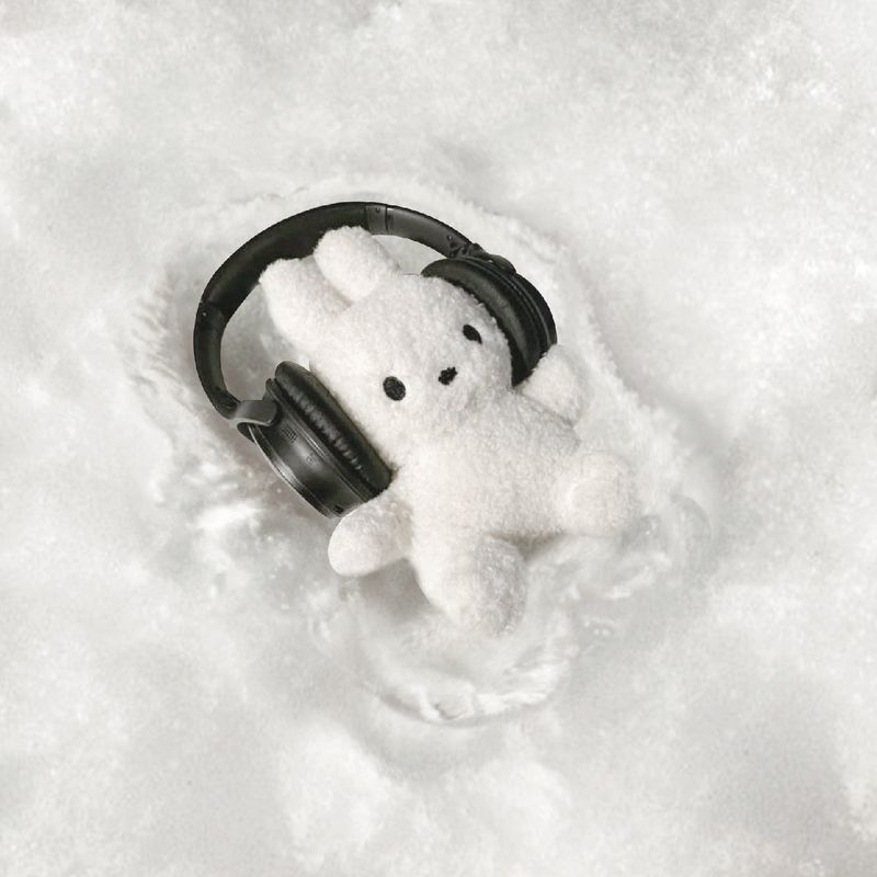 [SET]Snow rabbit case + sphere grip