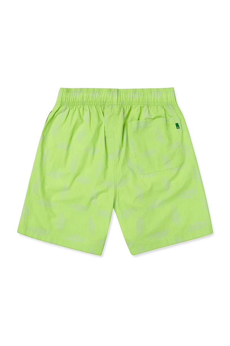 FLIP Trunk_Lime