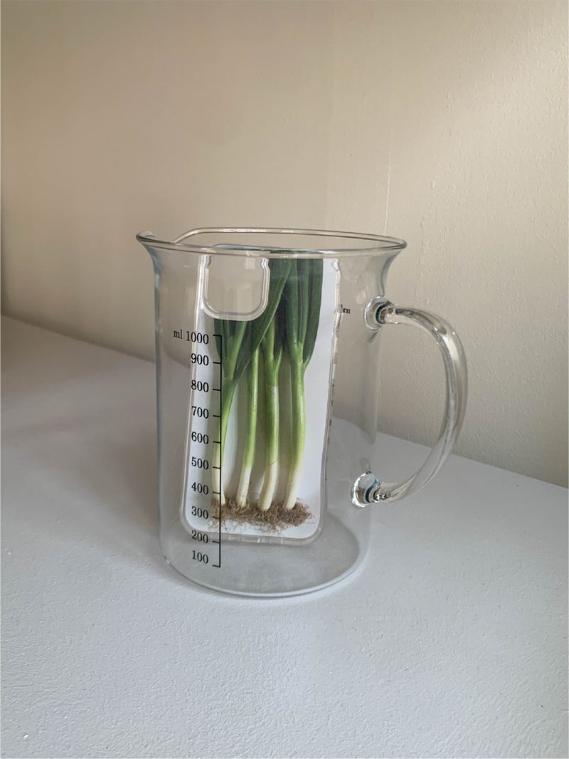Leek case - jelly hard