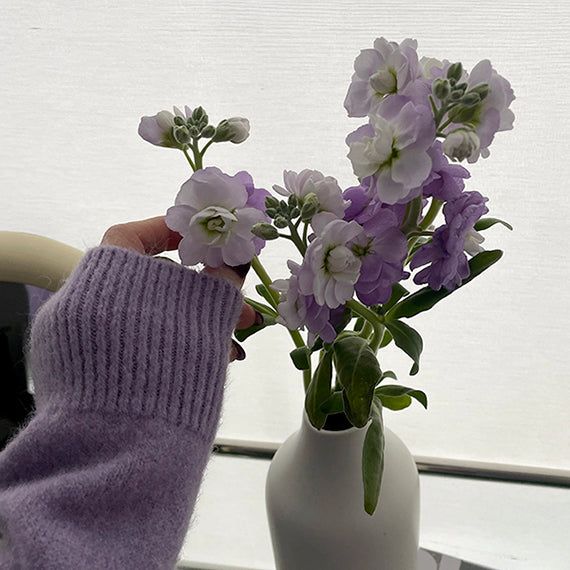 Roche snap knit cardigan