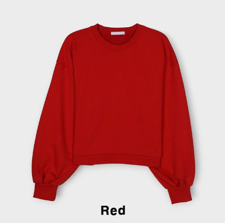 Plain Color Crop Sweatshirt
