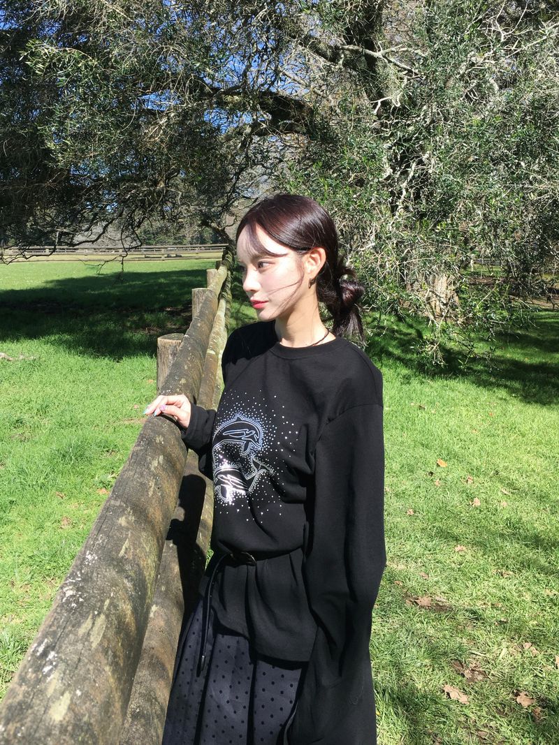 Hotfix Dolphin Loose Long Sleeve (2c)