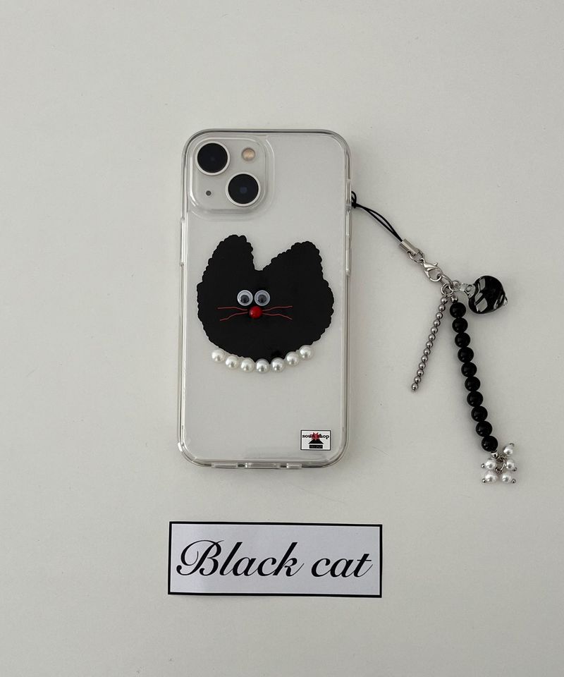 black cat case