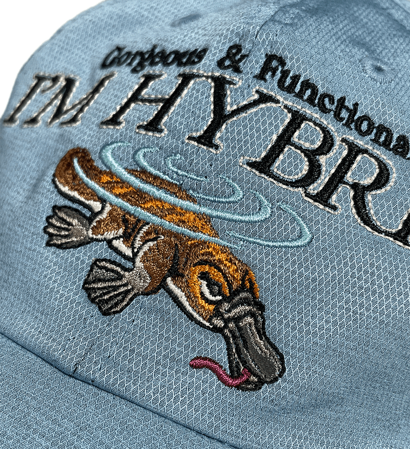 DUCK X RACOON CAP
