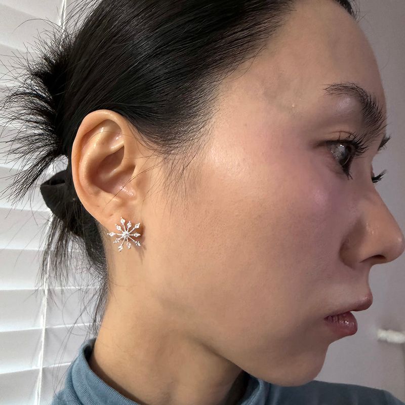 [925silver] Snowflakes earring