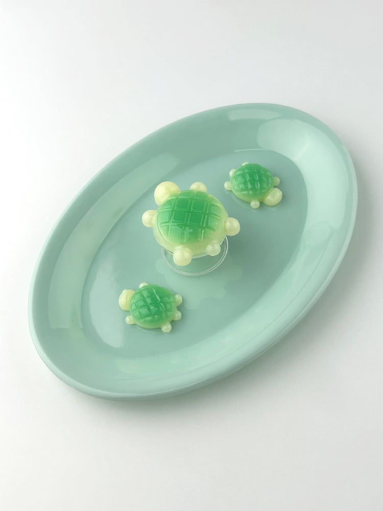 Melon Bread Turtle Magsafe Smart Tok