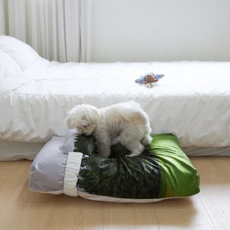photozeniagoods(フォトゼニアグッズ)の「Jeju oreum pet cushion + cover set(Smartphone Accessories)」