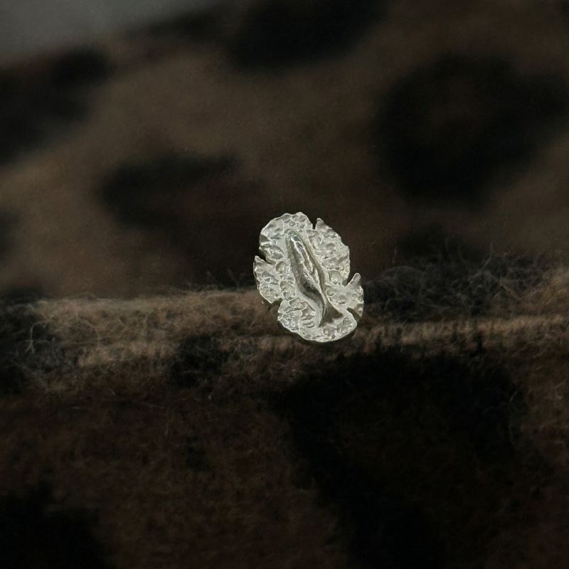 ccnmade（チェチャンナムメイド）の「[CCNMADE] Always Luckycoin Earring（Accessories）」