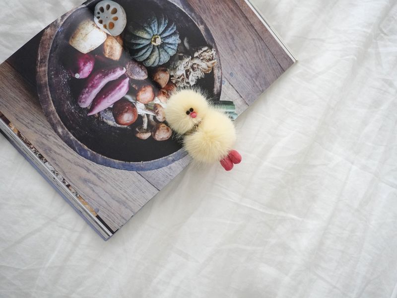 Cosymosy Mini Bird Keyring - Lemon