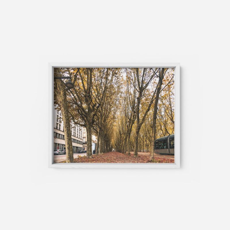 ONCESTUDIO(オンセスタジオ)の「(A3) France Bordeaux Tram Forest Road Poster(Interior)」
