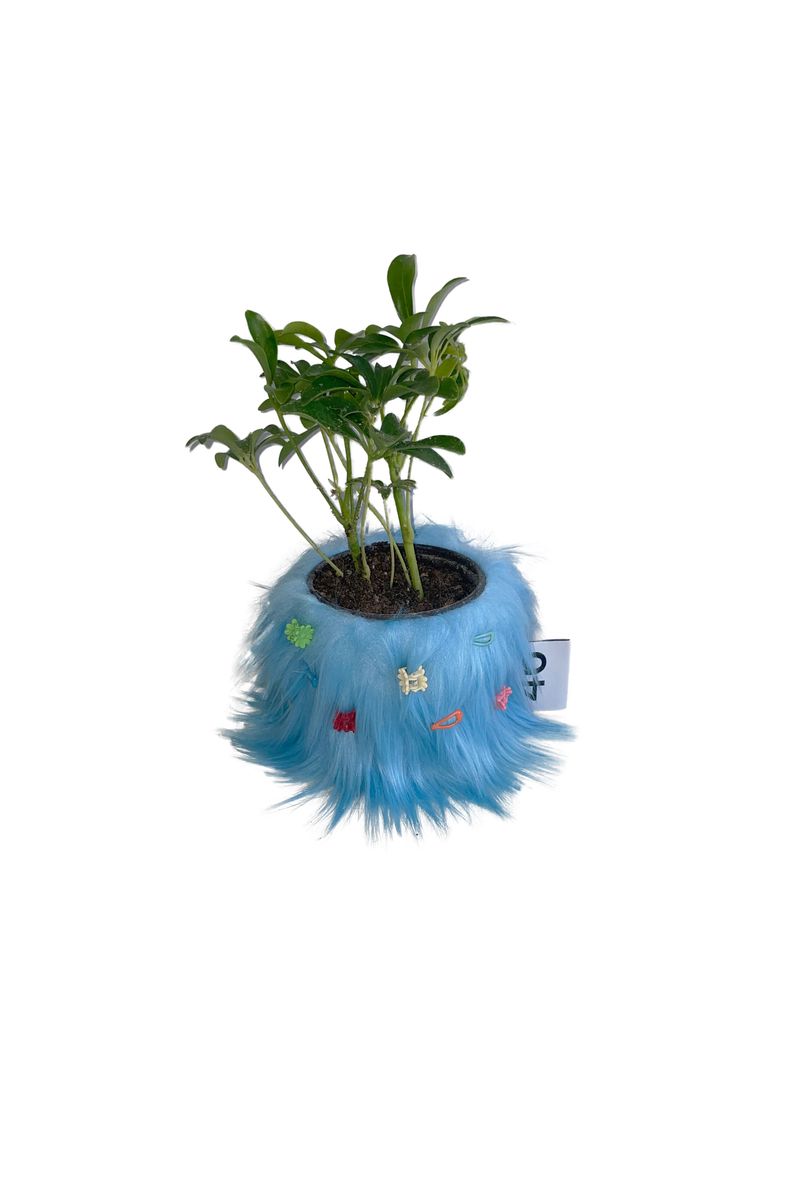 46month（フォーティーシックスマンス）の「FURRY POT COVER (SKY BLUE) + FURRY PIN SET（Interior）」