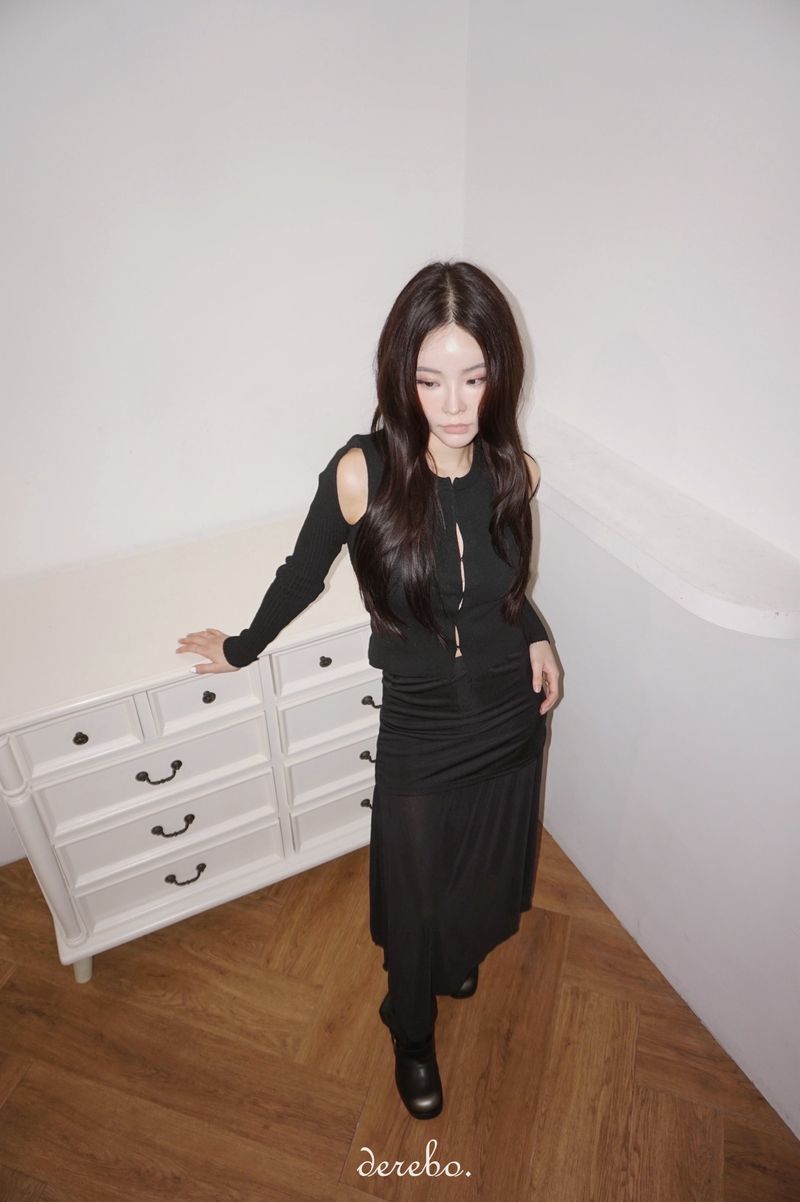 cocktail chiffon see-through long skirt
