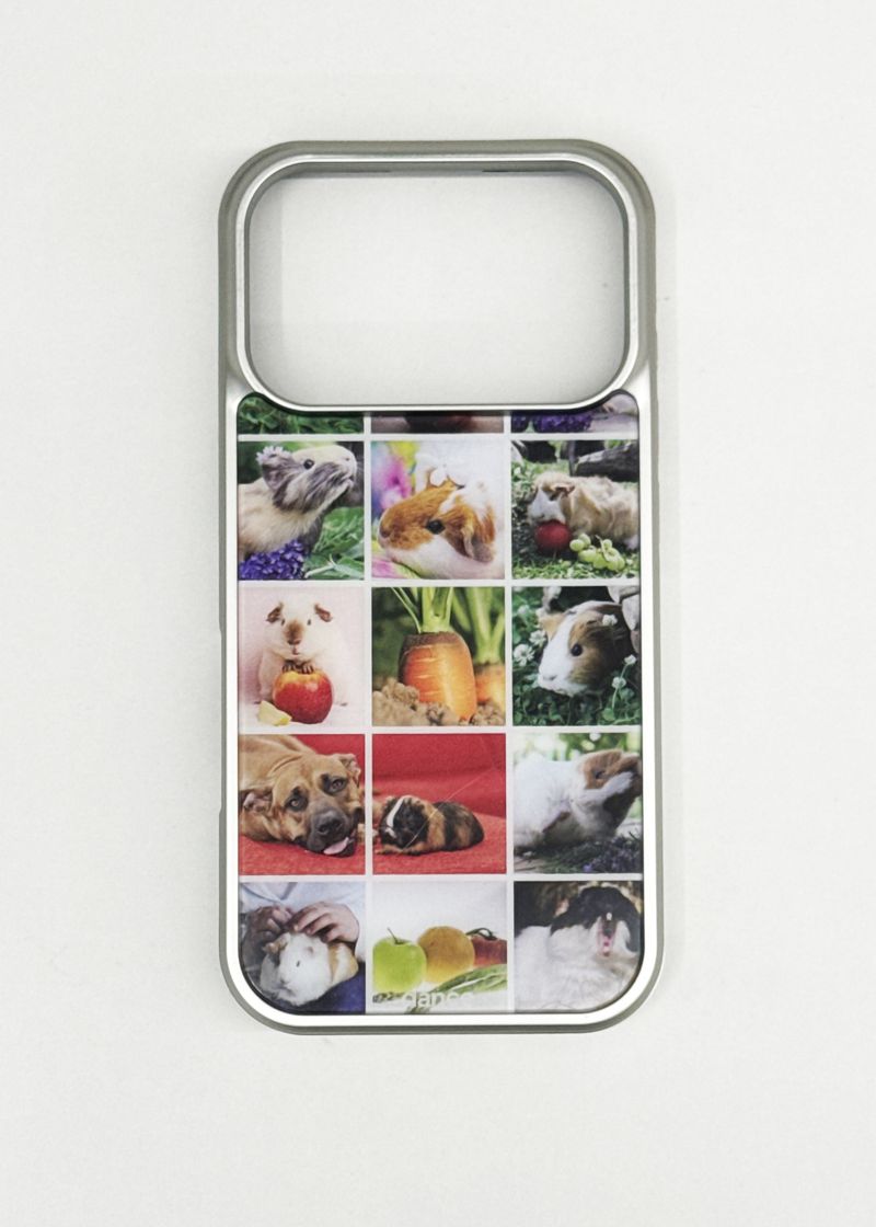 [MagSafe] MUSE’S GUARDIAN - GUINEA (SILVER BUMPER)