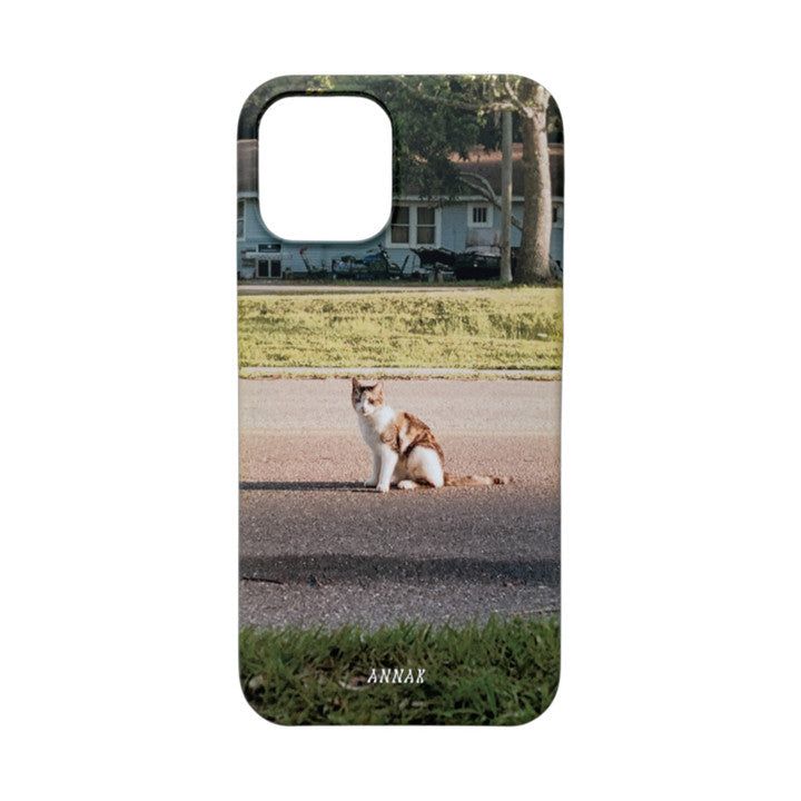 [a stray little cat ver.3 hard case]