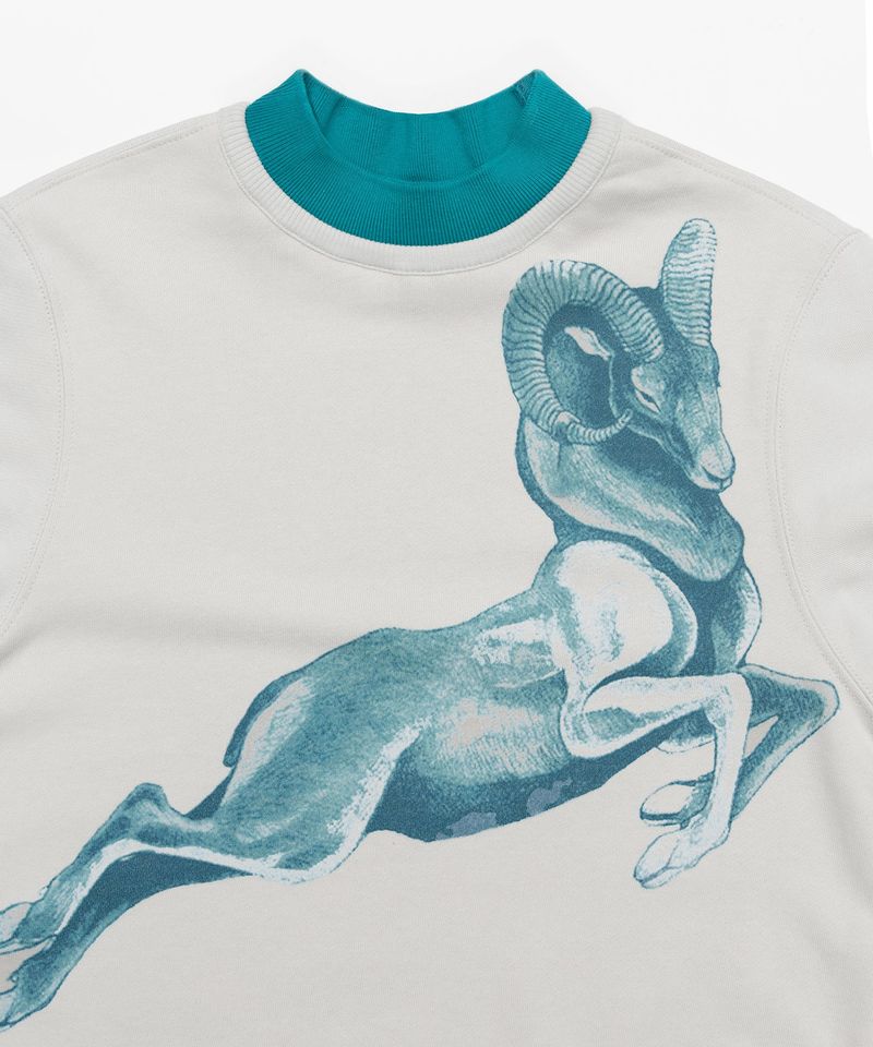 Double Rib Sweatshirt - Dall Sheep _ GREY