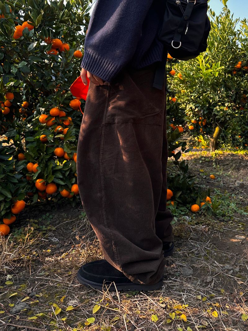 Dane Corduroy Balloon Pants 5C