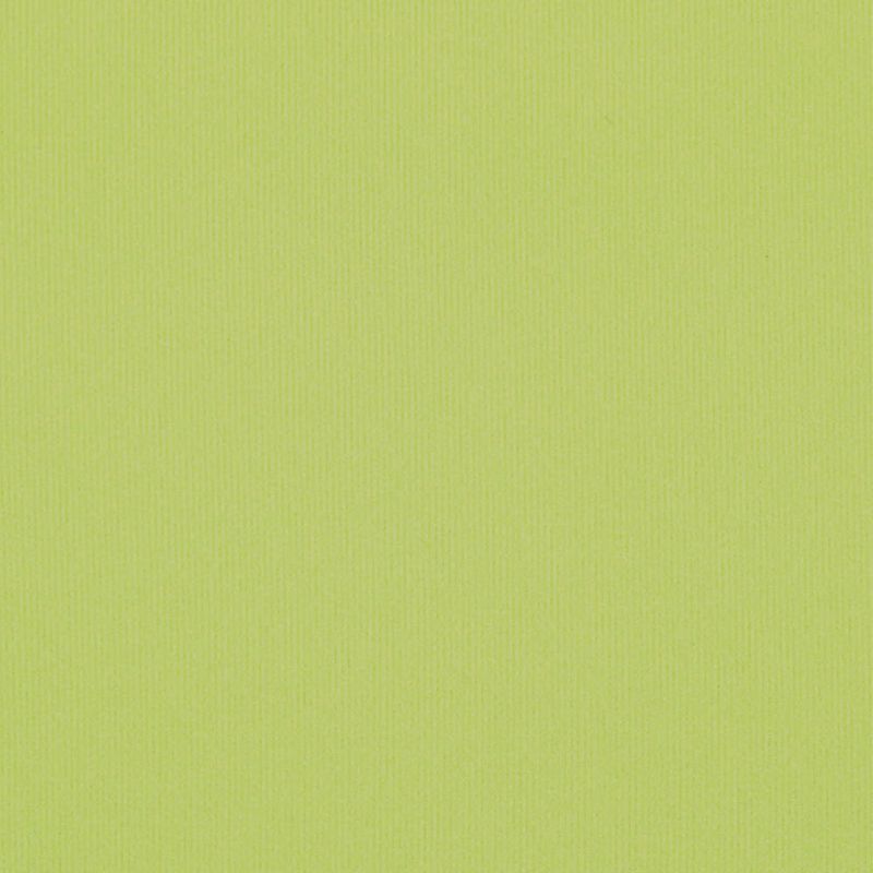 Adore halter top bikini set [lime]
