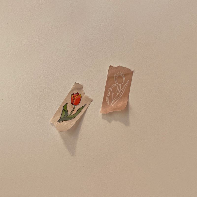 Mango Tulip (Deco Masking Tape) Drawing