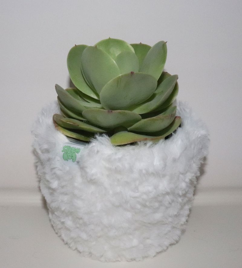 white multi basket