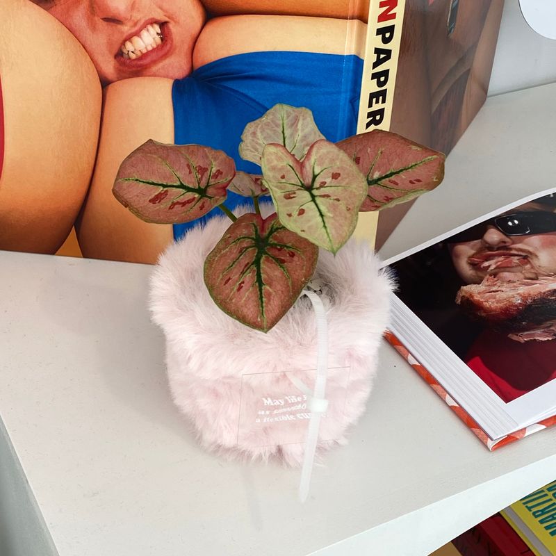 FLUFFY POT (S