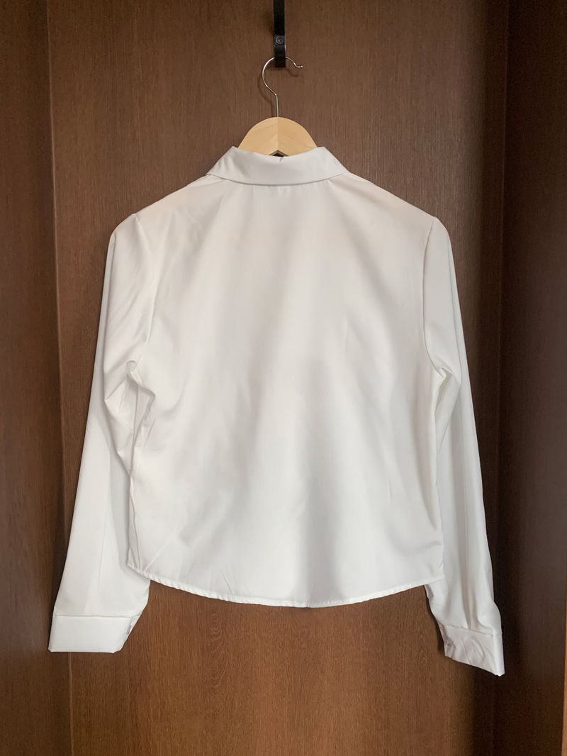 Soft Palette Panel-Cut Collar Shirt Blouse