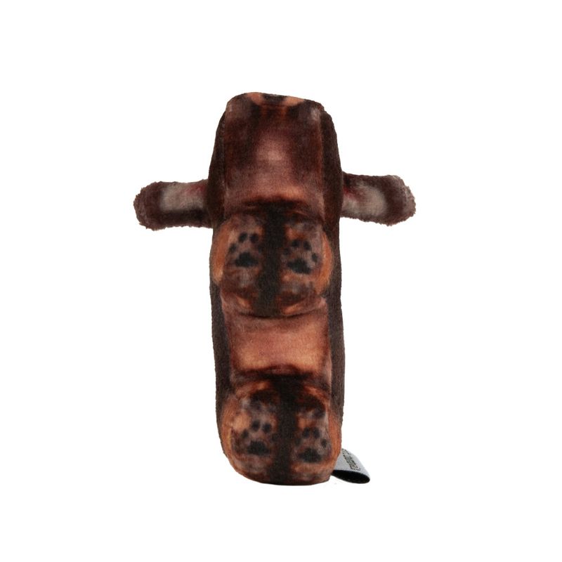 Tam, Dachshund