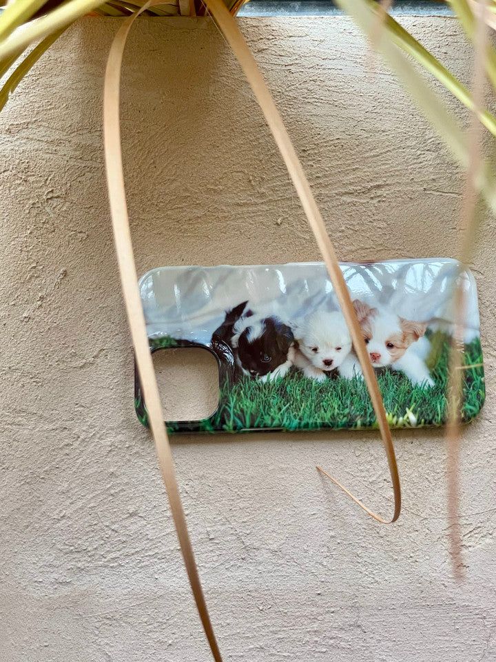 [meadow puppies hard case]