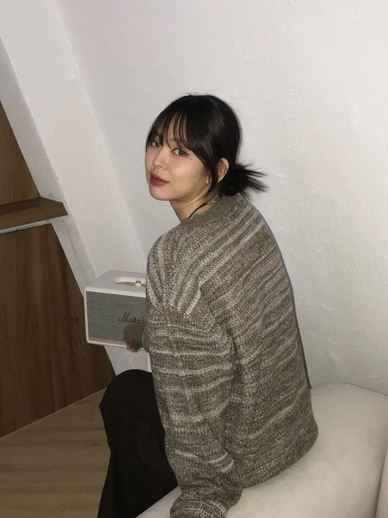 エリカストライプVネックニット