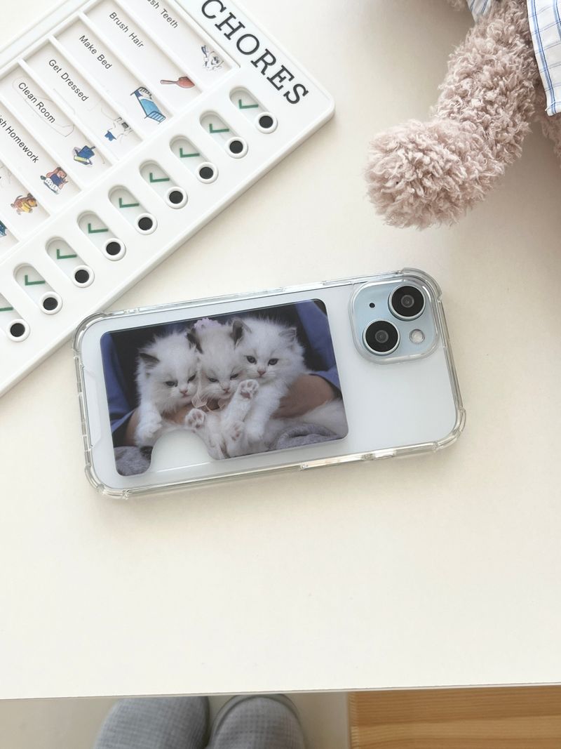 [three kitty sisters magsafe cardslot]