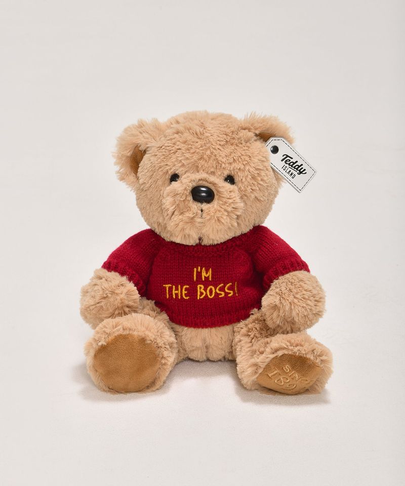 Message Teddybear [RED]