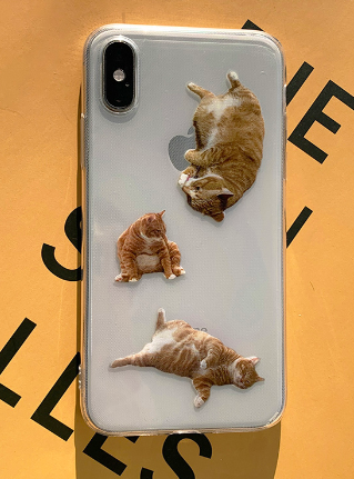 Street K cat case