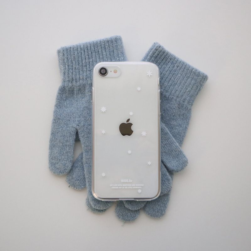 snowy case.