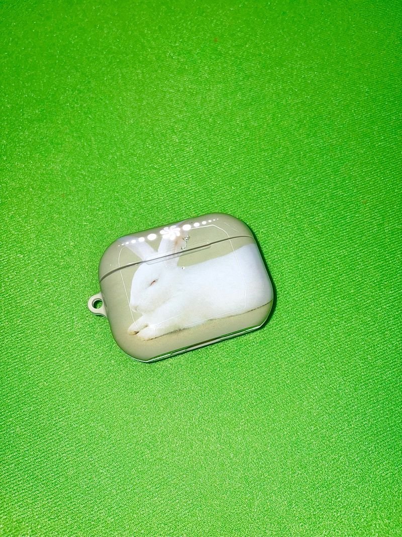 Furry Friends airpods case_Rabbit