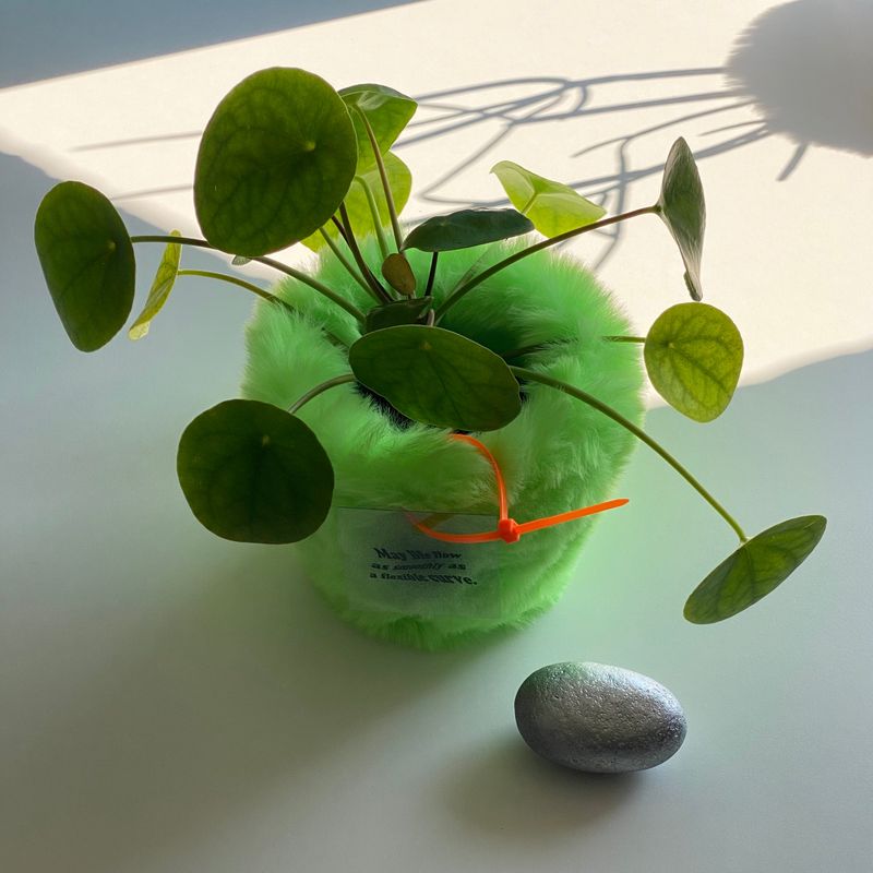 フラフィーポット
