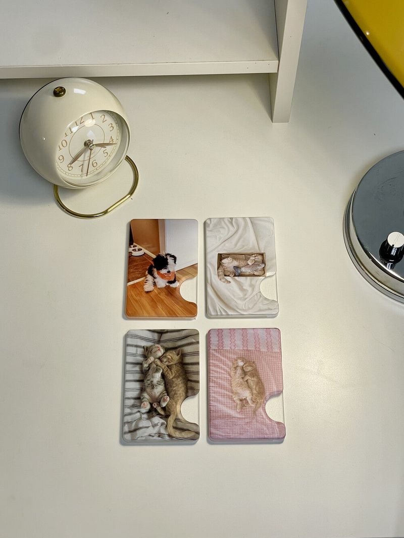 [snuggly buddies stripe magsafe cardslot]