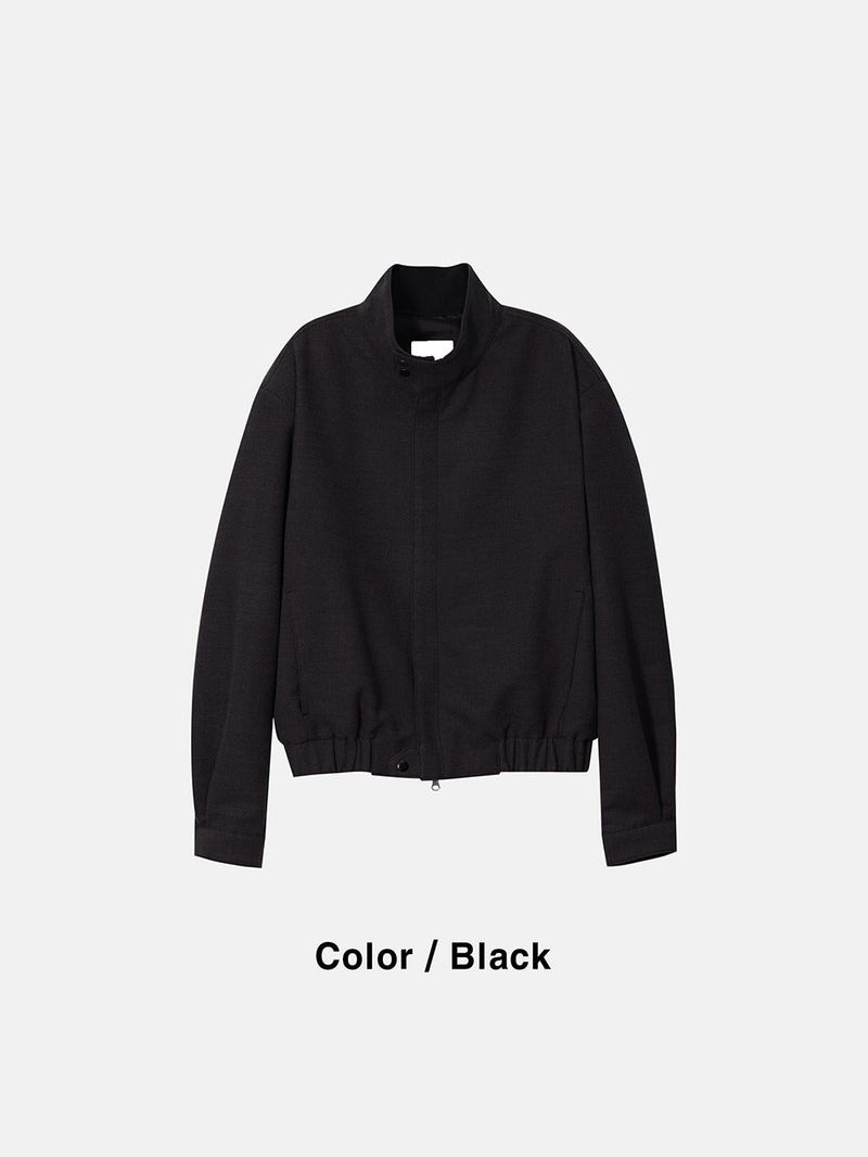 ASCLO Drop Shoulder High Neck Blouson (2color)