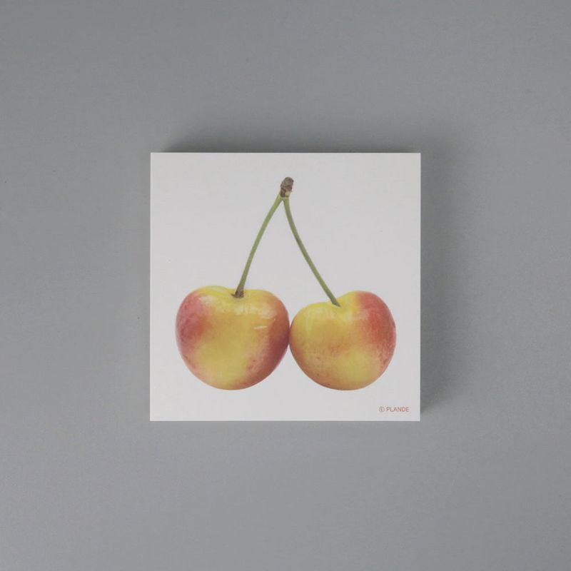 objet memo vol.6-fruit SET