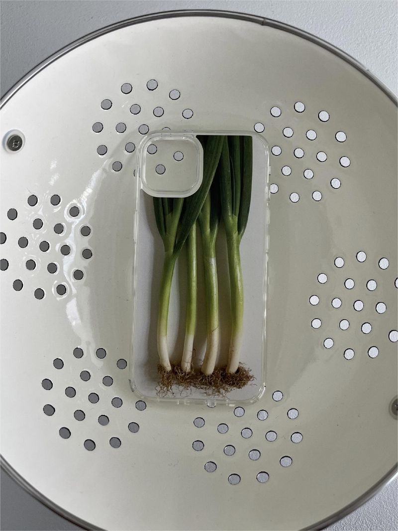 Leek case - jelly hard