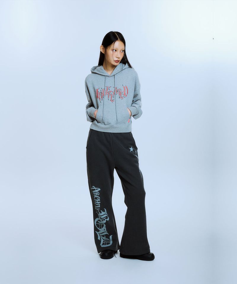 UNDEFEATED CROP HOOD (GRAY)