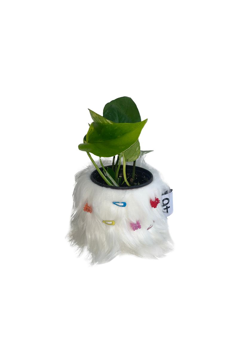 46month（フォーティーシックスマンス）の「FURRY POT COVER (WHITE) + FURRY PIN SET（Interior）」