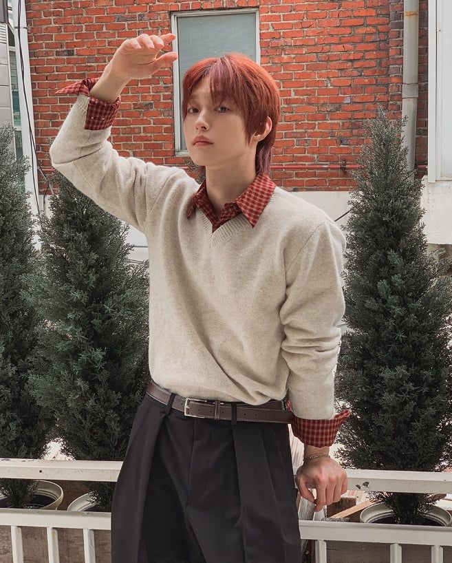 Lido Wool V-neck Crop Knit