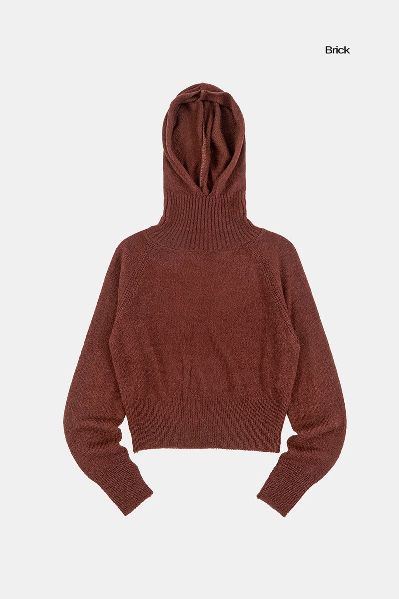 Dia wool raglan hooded knit