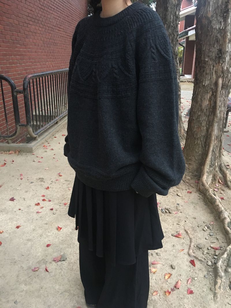 pleats skirt pants