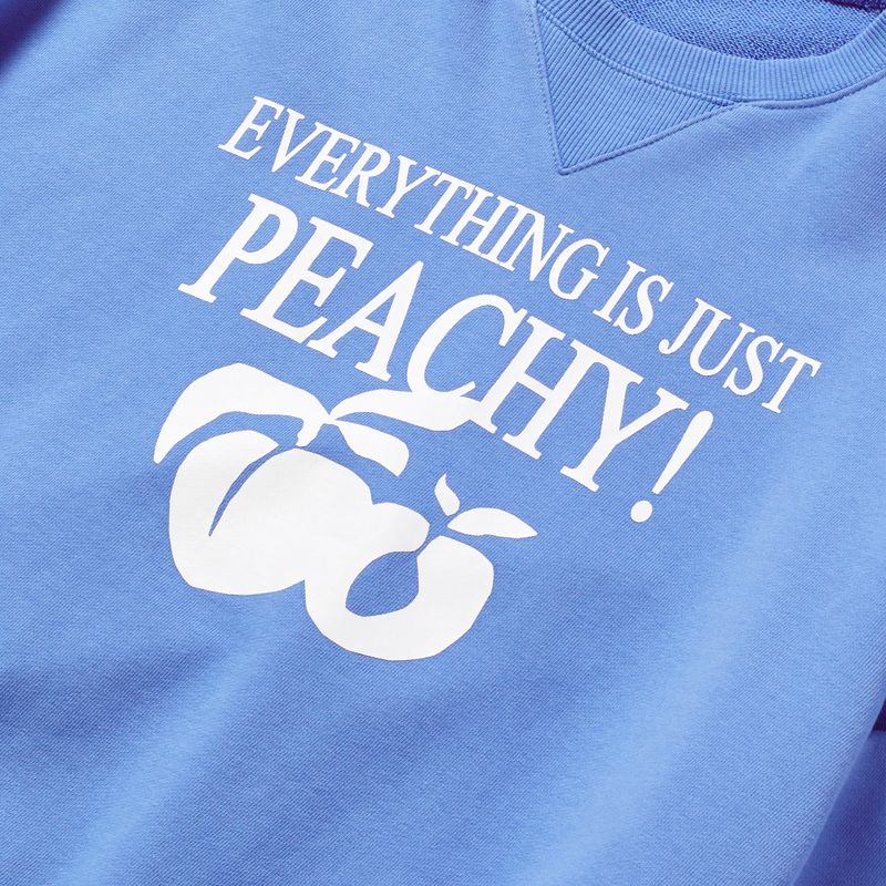 WHITE PEACH PRINT SWEATSHIRT_BLUE
