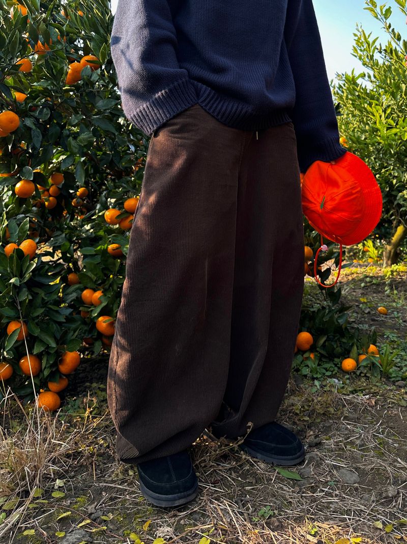 Dane Corduroy Balloon Pants 5C