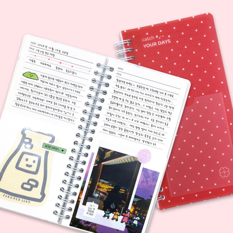 Handy Type Ticket Book catch your days