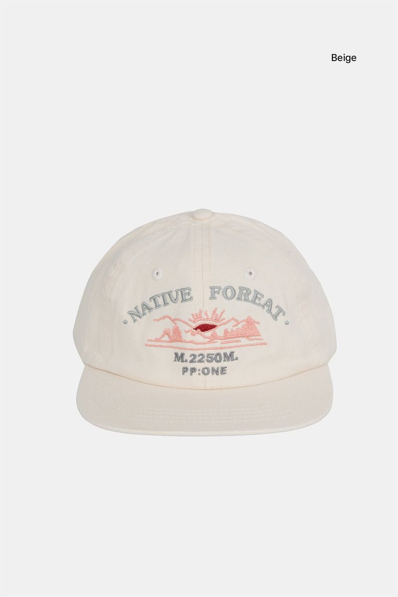 Native embroidery ball cap